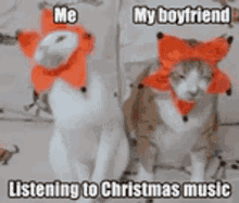 Myr Relationship Holiday Spirit GIF - Myr Relationship Holiday Spirit Cute Cat GIFs