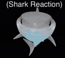Shark Shark Reaction GIF - Shark Shark Reaction Poggers GIFs