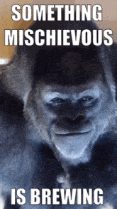 a picture of a gorilla with the words something mischievous is brewing above it