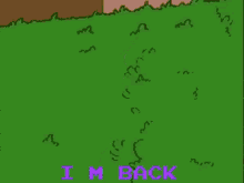 homer simpson from the simpsons is standing in a grassy field and saying `` i 'm back '' .