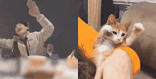 Yoongi Cat Suga Cat GIF