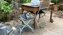 a squirrel sits on a wooden chair next to a table