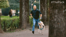 Running With Dogs The Pack GIF - Running With Dogs The Pack Cool Dogs GIFs