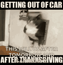 Getting Out Of Car Cat GIF - Getting Out Of Car Cat Cute GIFs