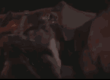 Camel Punch GIF - Camel Punch GIFs