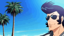 anime cool deal with it sunglasses