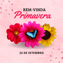 a pink background with flowers and the words bem-vinda primavera on it