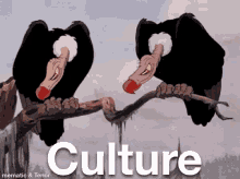 Culture Vultute Culture GIF - Culture Vultute Culture Vulture GIFs