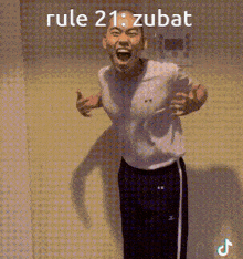 Zubat Rules GIF - Zubat Rules Typhie GIFs