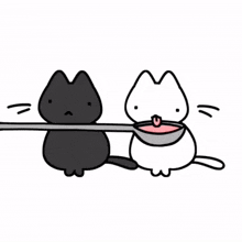 a black cat and a white cat are holding a spoon in their mouth .