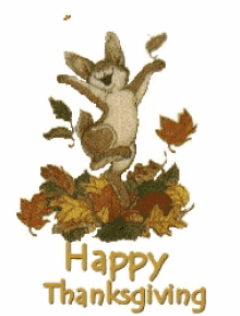 happy thanksgiving week happy greetings