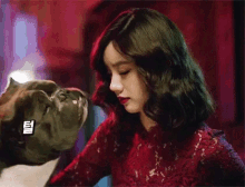 Hyeri Korean GIF - Hyeri Korean Dog GIFs