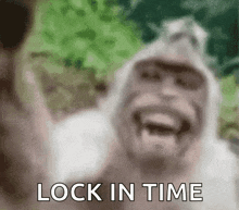 Locked In Monkey GIF - Locked In Monkey Monkey Meme GIFs