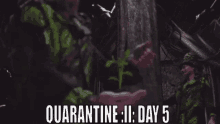 Quarantine Ii Day5 GIF - Quarantine Ii Day5 GIFs