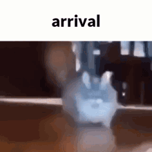 Grey Cat Arrival GIF - Grey Cat Arrival Departing GIFs