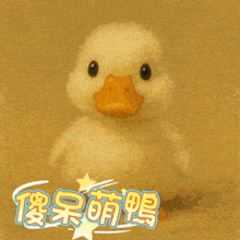a picture of a duck and a bunny with chinese writing