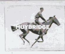 Muybridge Rebyx GIF - Muybridge Rebyx Horse GIFs