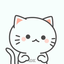 a drawing of a cat with question marks on its head and the word idk below it