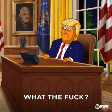 What The Fuck Donald Trump GIF - What The Fuck Donald Trump Our Cartoon President GIFs