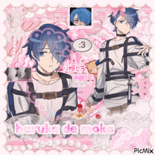 a picture of haruka de moka with a pink background