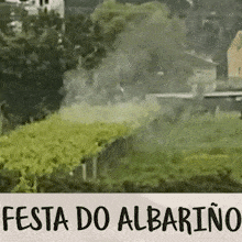 a sign that says festa do albarino on it with a picture of a field and trees in the background .