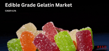Edible Grade Gelatin Market Size Edible Grade Gelatin Market Share GIF - Edible Grade Gelatin Market Size Edible Grade Gelatin Market Share Edible Grade Gelatin Market Trends GIFs