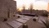 a garden with cactus and purple flowers with the sun shining through