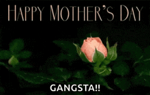 a pink rose with the words `` happy mother 's day gangsta '' written on it