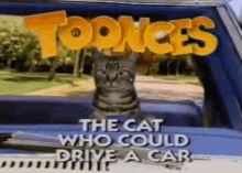 Toonces Driving GIF - Toonces Driving Cat GIFs
