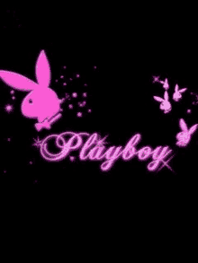 playboy bunny rabbit