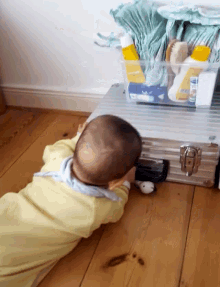 Baby Curious GIF