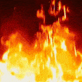 a close up of a fire with a lot of flames coming out of it