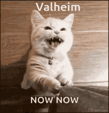 Valheim GIF - Valheim GIFs