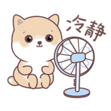 cool comfy cute cat fan