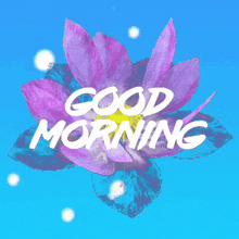 Good Morning Morninglove GIF - Good Morning Morninglove Good Morning Love GIFs