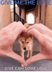 Puppies Heart GIF - Puppies Heart Dog GIFs