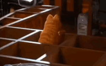 Garfield Innocent GIF - Garfield Innocent I Didnt Do It GIFs