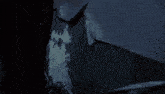 a woman with long hair is holding a lit lantern