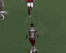 Fluminense Tricolor GIF