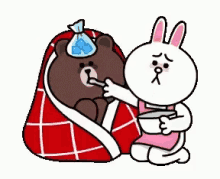 Brown And Cony Awww GIF