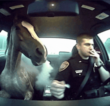a police officer smoking a cigarette in a car with a horse in the back seat