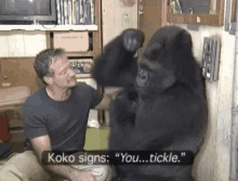 Koko Robin Williams GIF - Koko Robin Williams Tickle GIFs