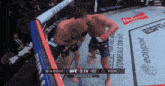 two men in a boxing ring with a budweiser advertisement on the wall