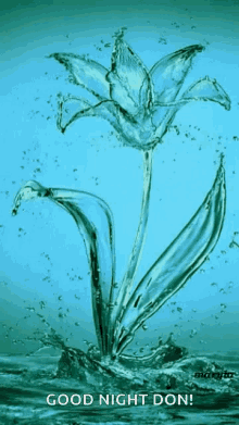 Flower Water GIF - Flower Water GIFs