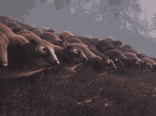 Animals Army GIF - Animals Army Danger - Discover & Share GIFs