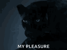 Panther Hungry GIF