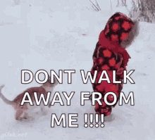 Dont Walk Away From Me Snow GIF - Dont Walk Away From Me Snow Cat GIFs