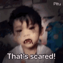 Thats Scared GIF - Thats Scared Scary GIFs
