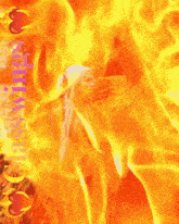 a painting of a woman standing next to a phoenix with the words " class wings " on the bottom right