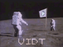 Vidt Moon GIF